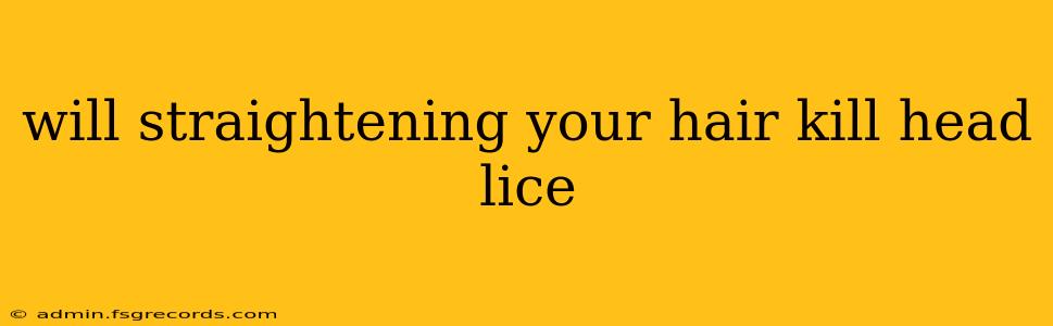 will straightening your hair kill head lice