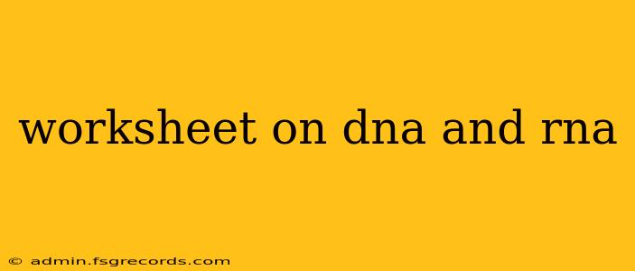 worksheet on dna and rna