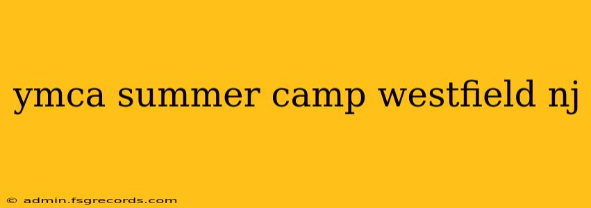 ymca summer camp westfield nj